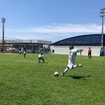 e071f03a-0dc2-470e-a846-ad58c0f84137