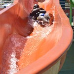 29266171677_cfd6d28b85_o