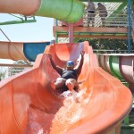 29266170557_f910202d9e_o