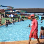 29266111447_bf0d1bf585_o