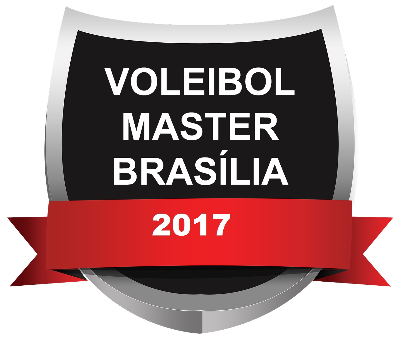 escudo voleibol master